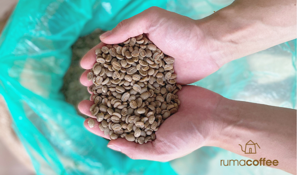 Flores Bajawa Greenbean Rumacoffee
